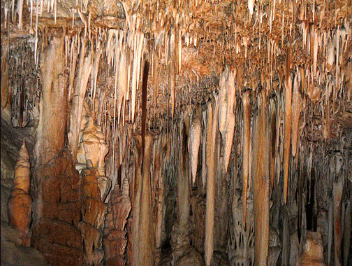 Stalactite formation at Sorek Cave