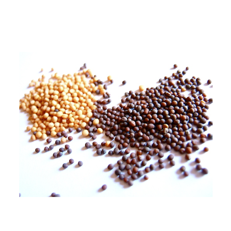 black and white mustard seeds
