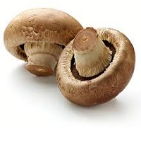 button mushrooms2