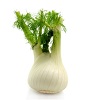 fennel