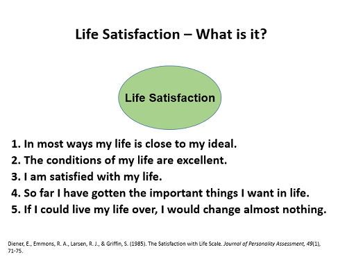 life satisfaction slide 4