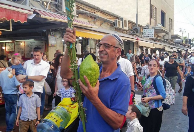 etrog citron sukkot2