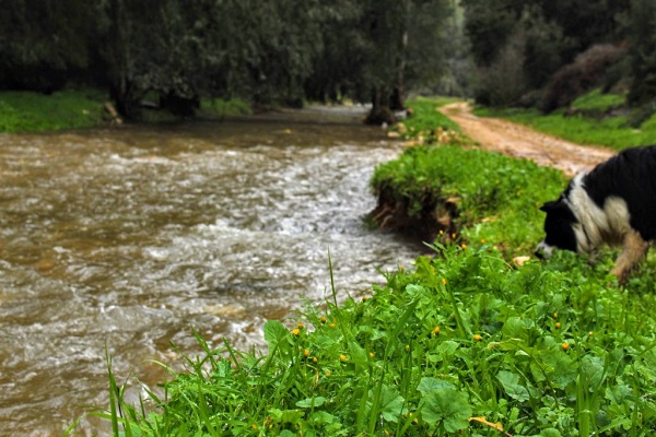 israel winter hike nahal refaim