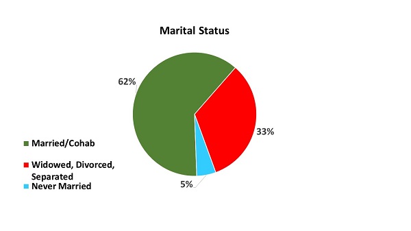 Coronavirus Israel survey Marital status